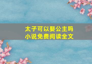 太子可以娶公主吗小说免费阅读全文