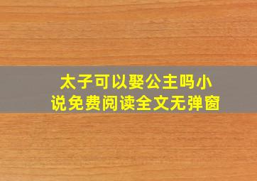 太子可以娶公主吗小说免费阅读全文无弹窗