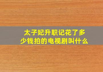 太子妃升职记花了多少钱拍的电视剧叫什么