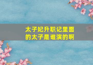 太子妃升职记里面的太子是谁演的啊