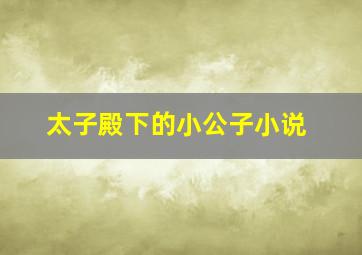 太子殿下的小公子小说