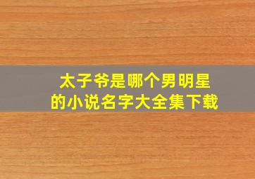 太子爷是哪个男明星的小说名字大全集下载