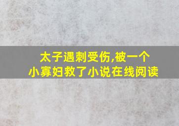 太子遇刺受伤,被一个小寡妇救了小说在线阅读