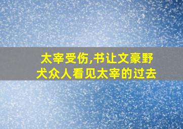 太宰受伤,书让文豪野犬众人看见太宰的过去