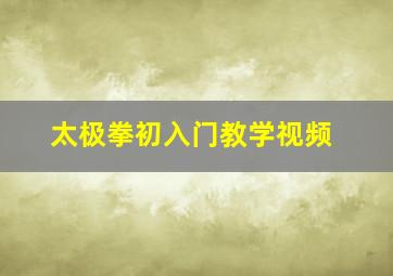 太极拳初入门教学视频