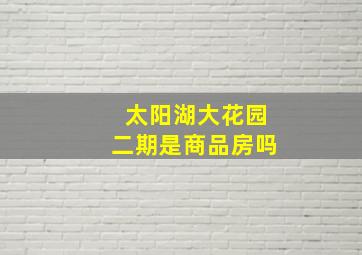 太阳湖大花园二期是商品房吗