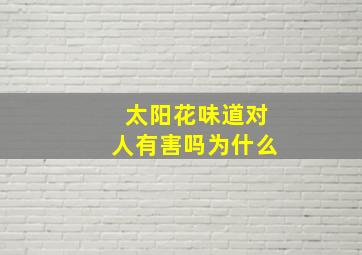 太阳花味道对人有害吗为什么