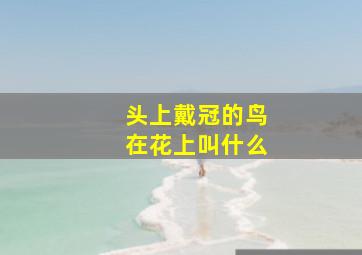 头上戴冠的鸟在花上叫什么