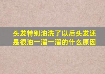 头发特别油洗了以后头发还是很油一溜一溜的什么原因