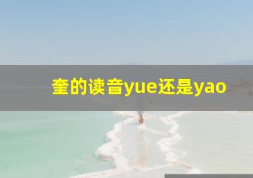 奎的读音yue还是yao