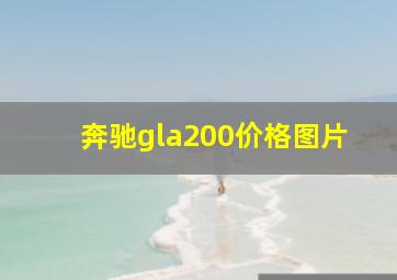 奔驰gla200价格图片