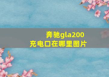 奔驰gla200充电口在哪里图片