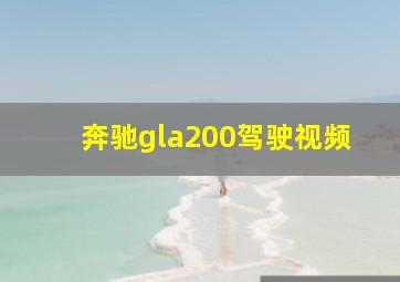 奔驰gla200驾驶视频