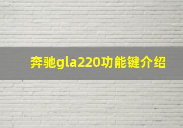 奔驰gla220功能键介绍