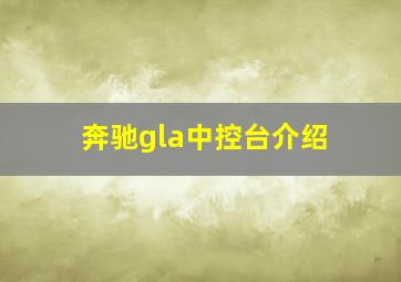 奔驰gla中控台介绍