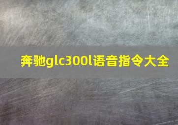 奔驰glc300l语音指令大全