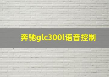 奔驰glc300l语音控制