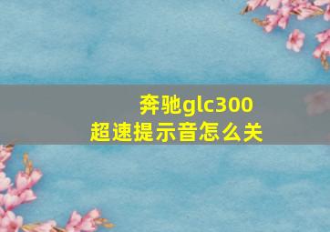 奔驰glc300超速提示音怎么关