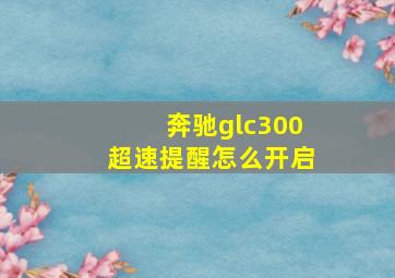 奔驰glc300超速提醒怎么开启