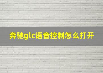 奔驰glc语音控制怎么打开