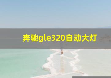 奔驰gle320自动大灯