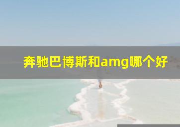 奔驰巴博斯和amg哪个好