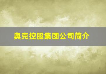 奥克控股集团公司简介