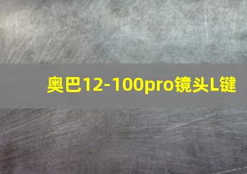 奥巴12-100pro镜头L键