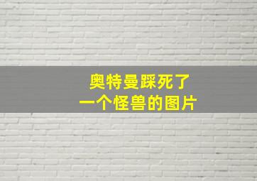 奥特曼踩死了一个怪兽的图片