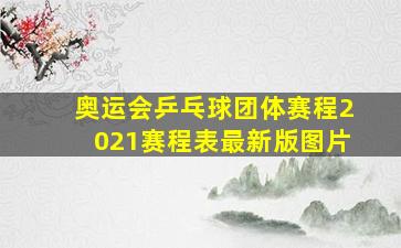 奥运会乒乓球团体赛程2021赛程表最新版图片