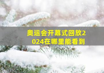 奥运会开幕式回放2024在哪里能看到