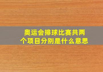 奥运会排球比赛共两个项目分别是什么意思