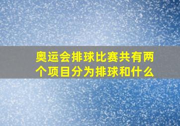 奥运会排球比赛共有两个项目分为排球和什么