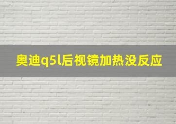 奥迪q5l后视镜加热没反应