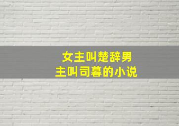 女主叫楚辞男主叫司暮的小说