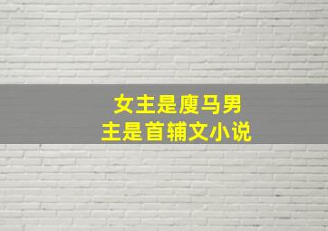 女主是廋马男主是首辅文小说