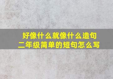 好像什么就像什么造句二年级简单的短句怎么写