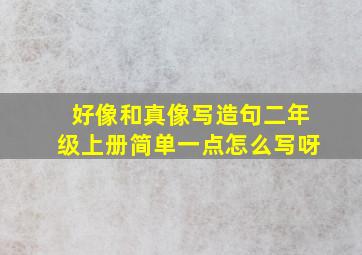 好像和真像写造句二年级上册简单一点怎么写呀