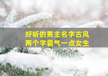 好听的男主名字古风两个字霸气一点女生