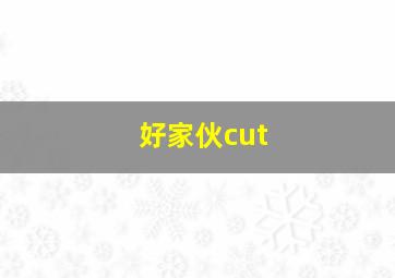 好家伙cut