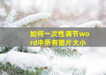 如何一次性调节word中所有图片大小