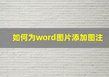 如何为word图片添加图注