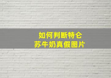 如何判断特仑苏牛奶真假图片