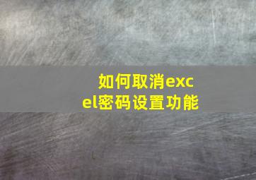 如何取消excel密码设置功能