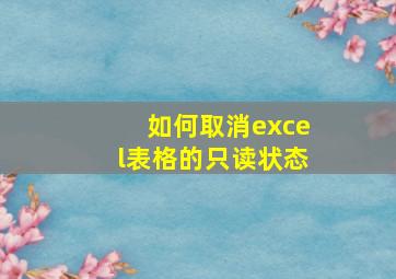 如何取消excel表格的只读状态