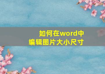 如何在word中编辑图片大小尺寸