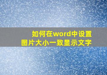 如何在word中设置图片大小一致显示文字