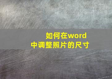 如何在word中调整照片的尺寸