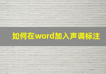 如何在word加入声调标注