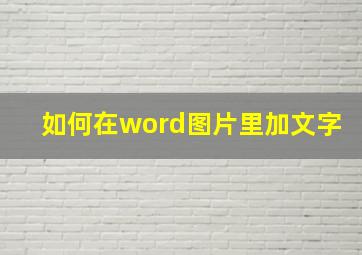 如何在word图片里加文字